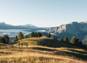 The Dolorama Experience