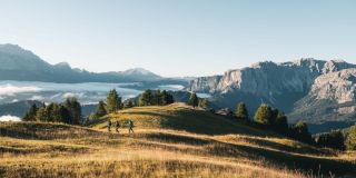 The Dolorama Experience